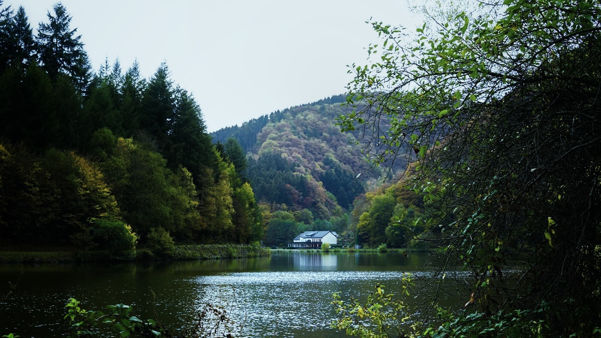 A secluded cabin on a calm lake surrounded by autumn-colored forested hills